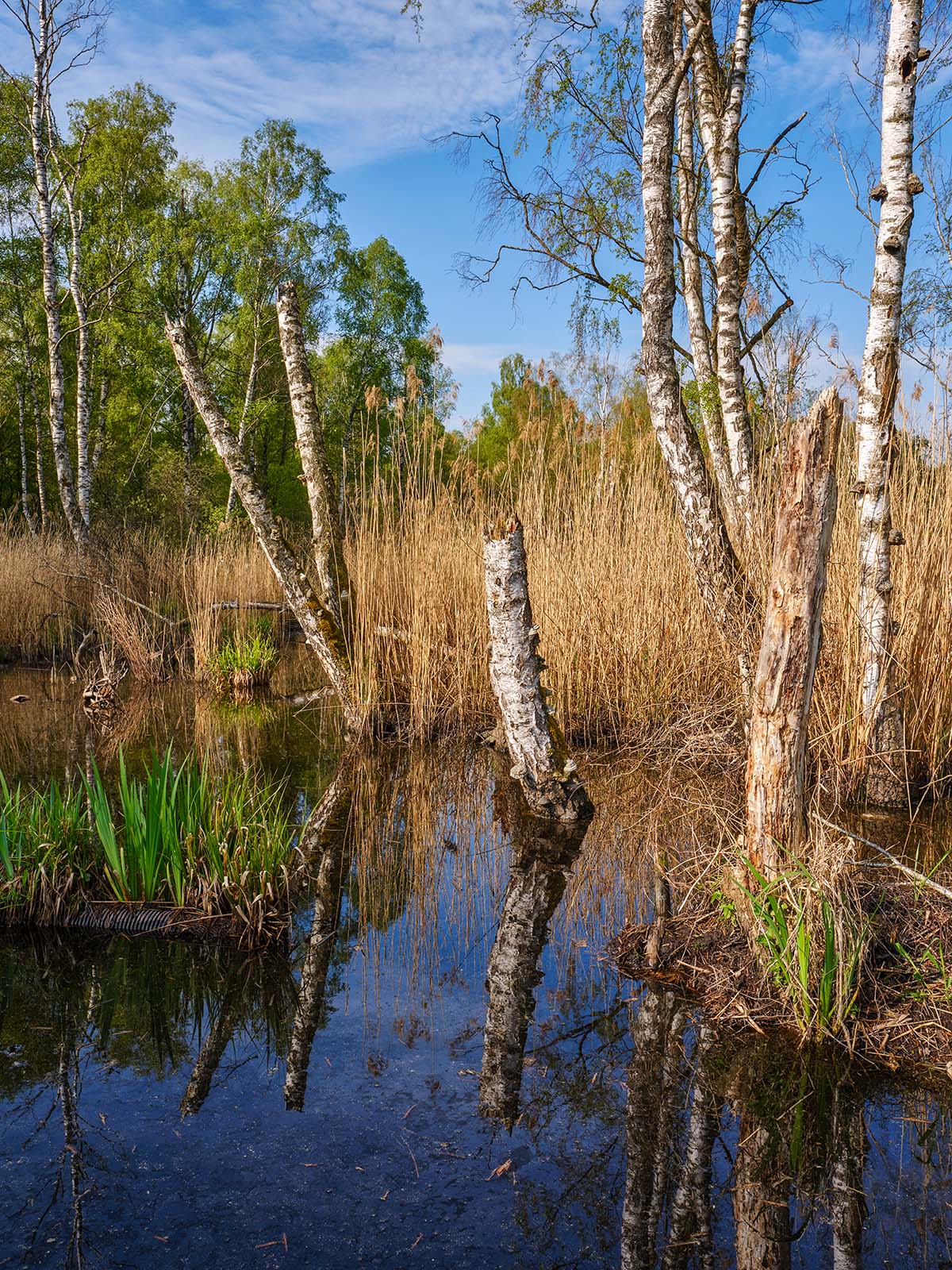 Landschaft im Fokus