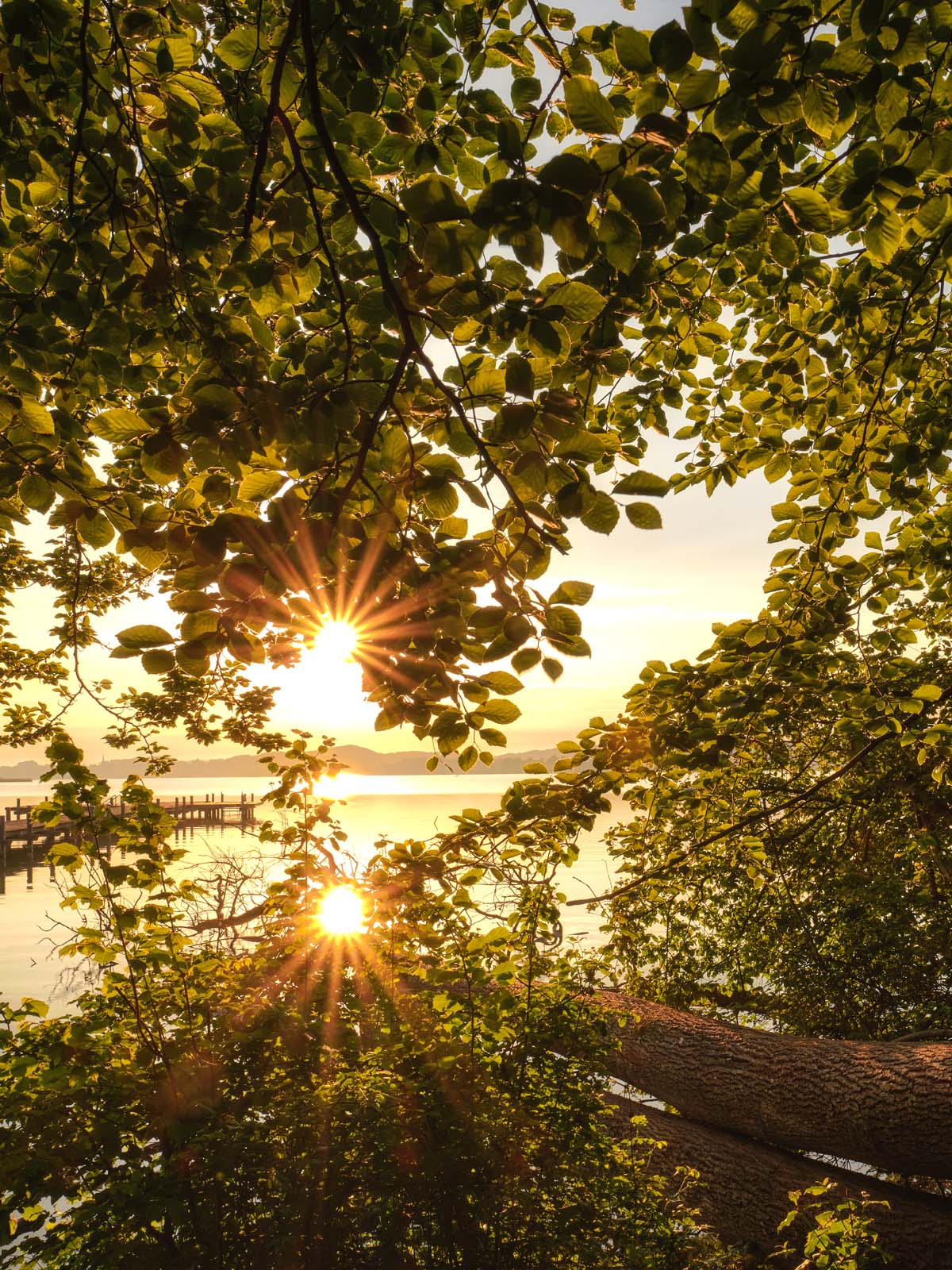 Landschaft im Fokus