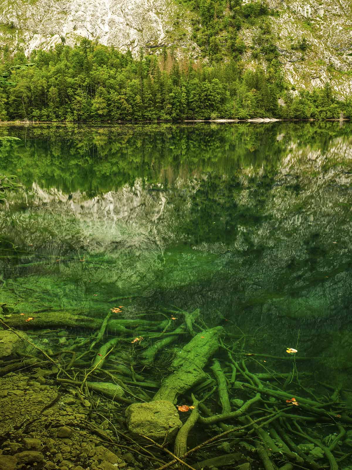 Herbstlandschaften im Berchtesgadener Land