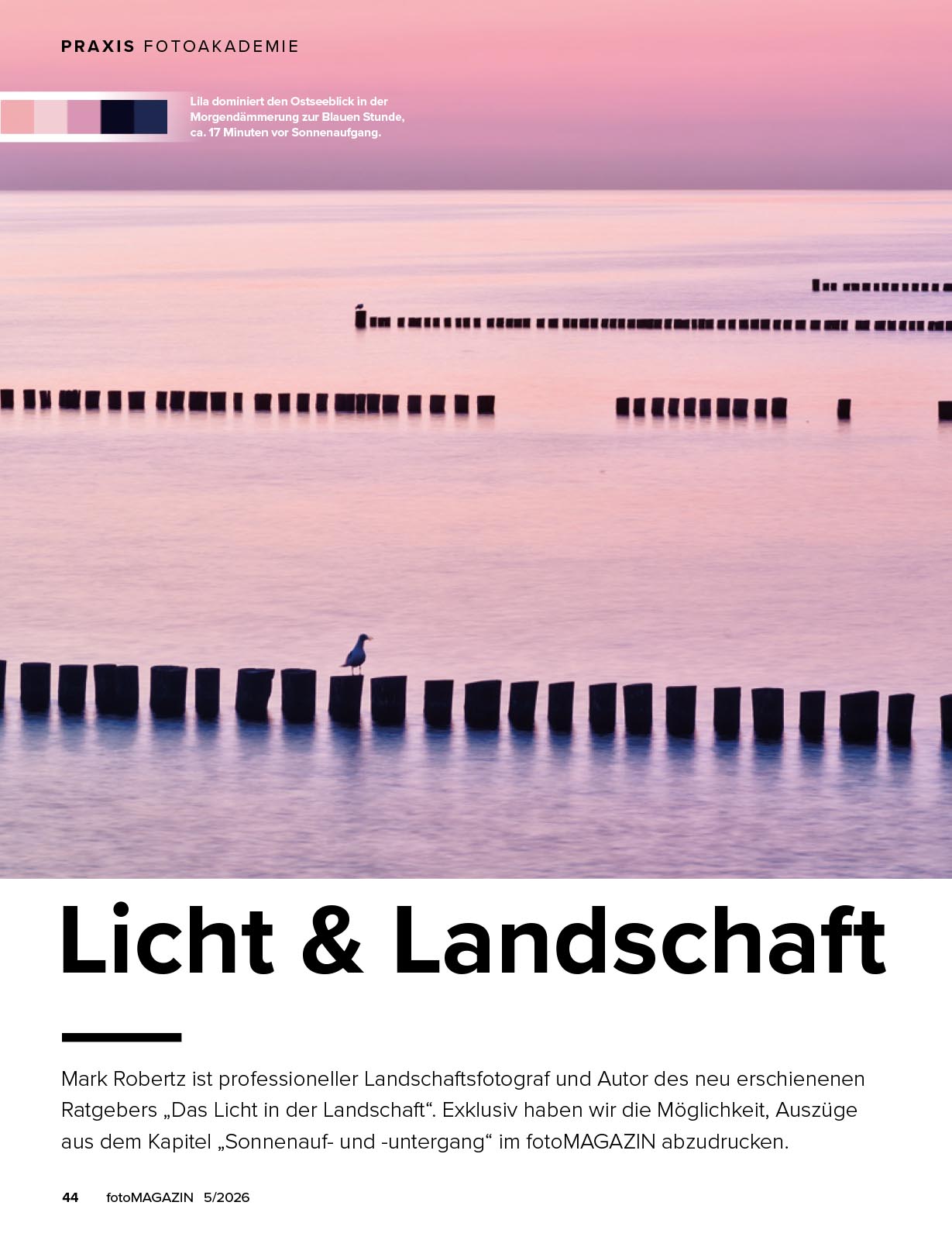 Licht & Landschaft
