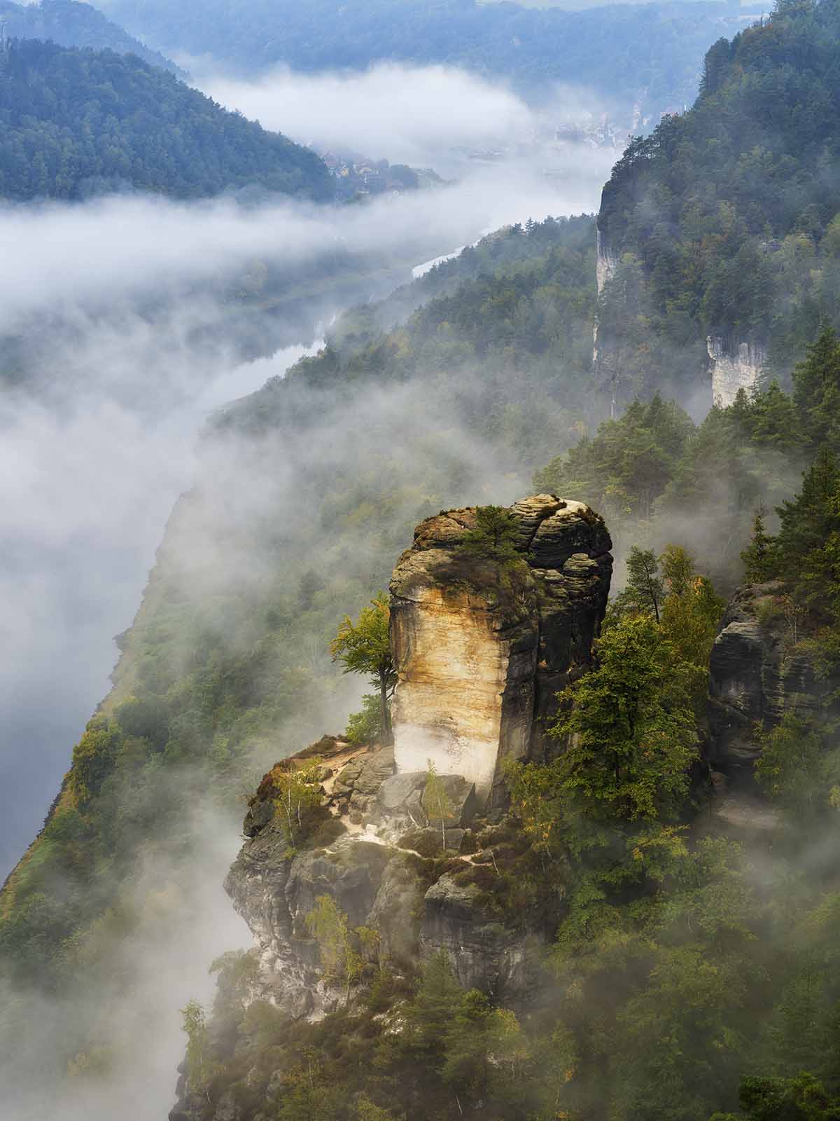 Felsen | Wald | Wasser in der Sächsische Schweiz