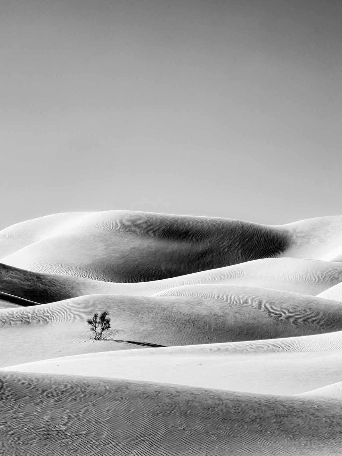 Desert … Light & Dark