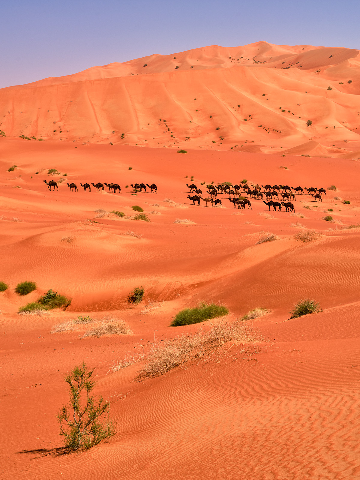 Fotoreise Oman 2022