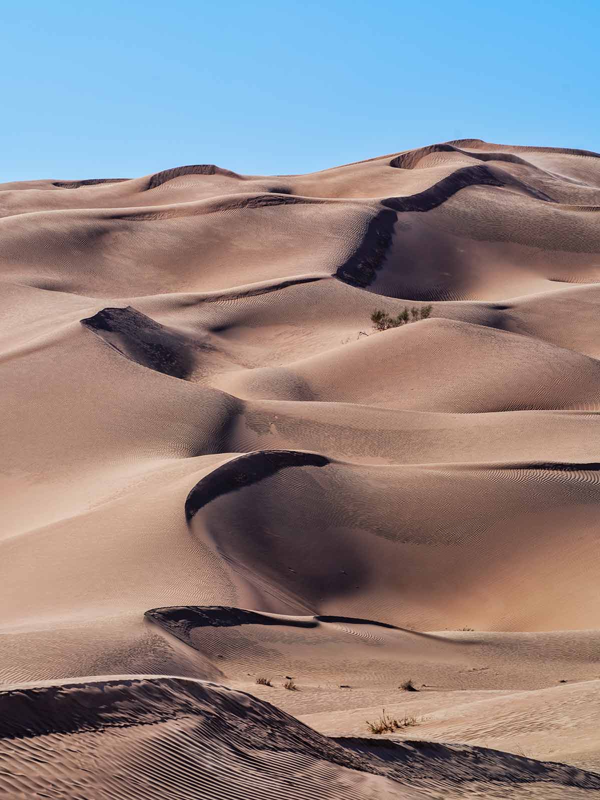 Wüste pur – Fotoreise Oman’25
