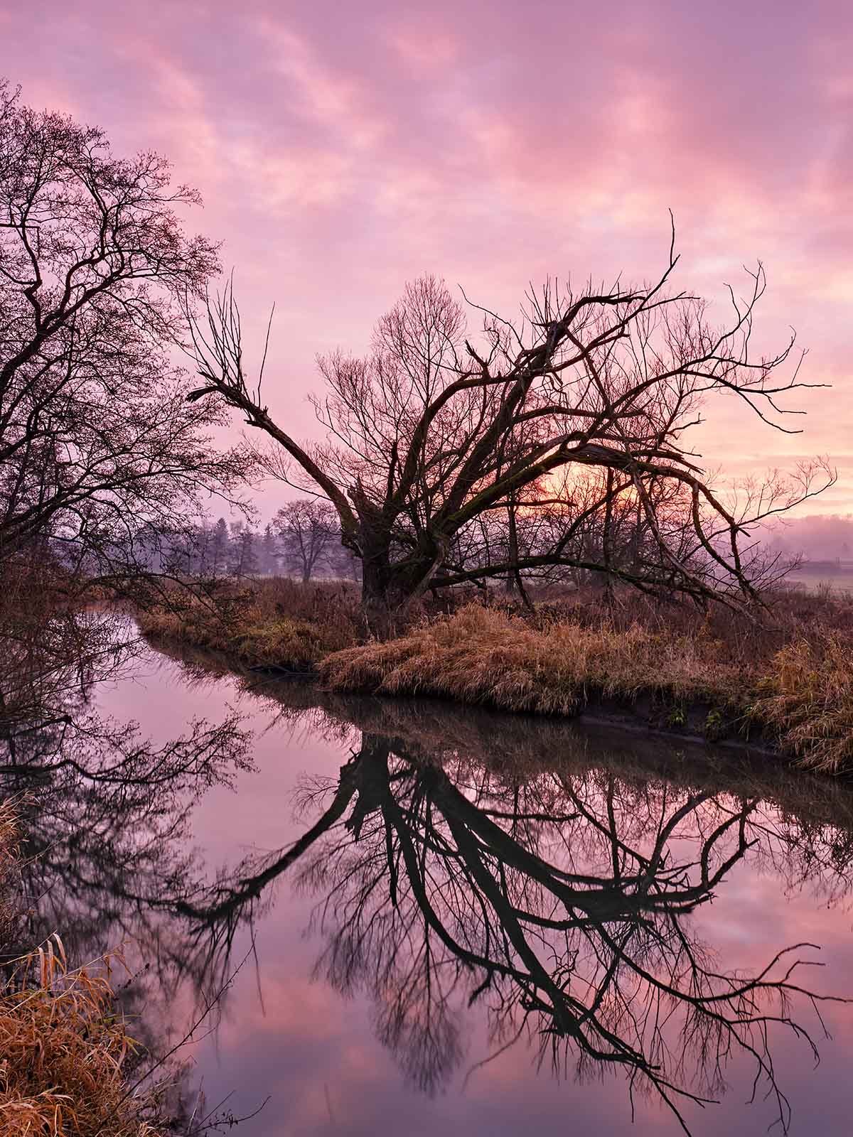 Landschaft im Fokus