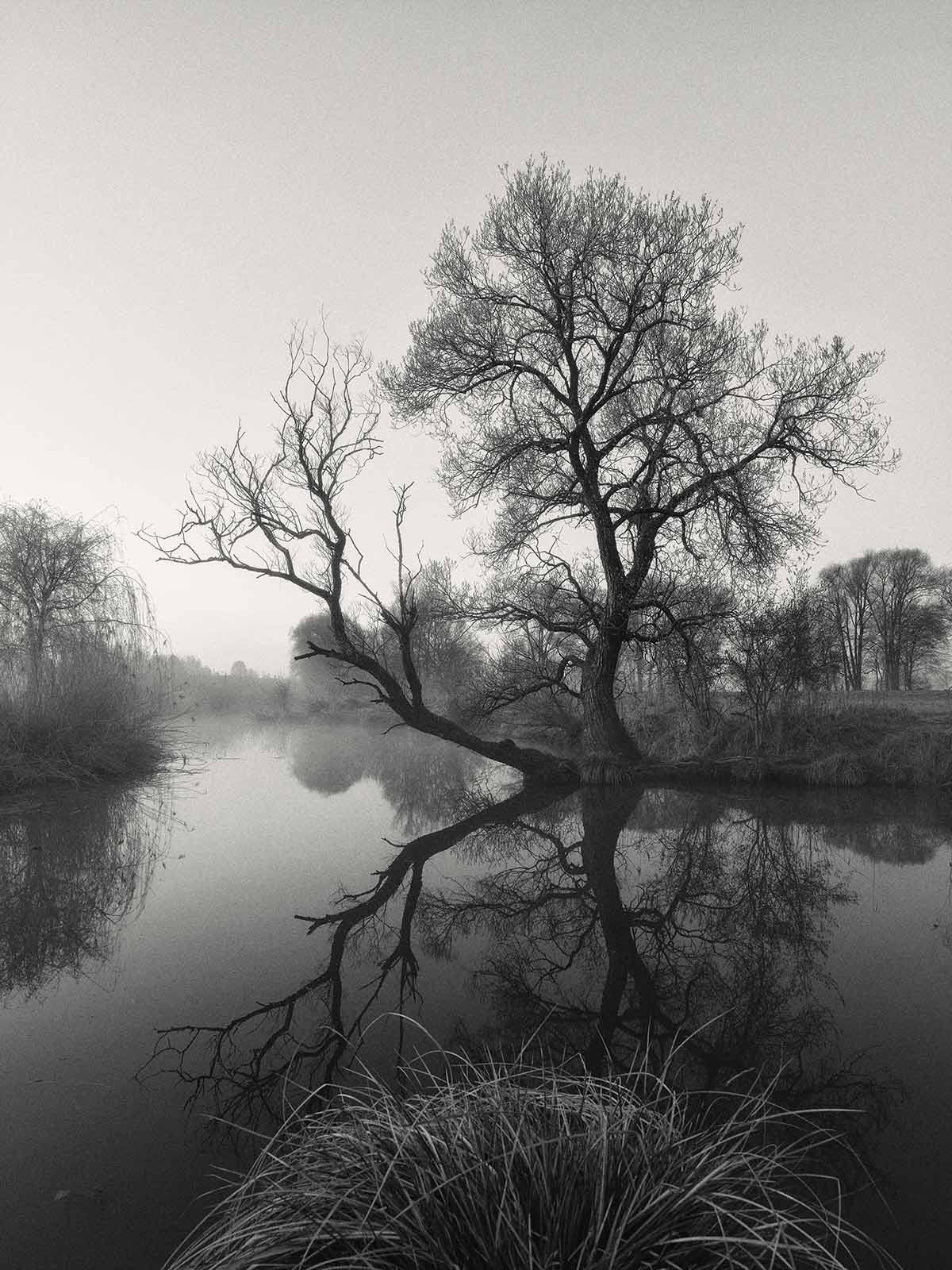 Die Geschichte der Landschaft…