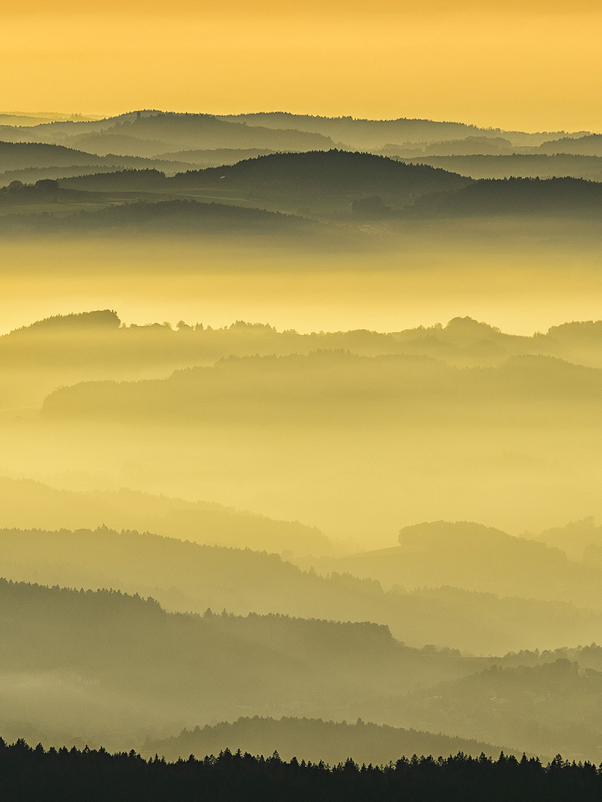 Landschaft im Fokus