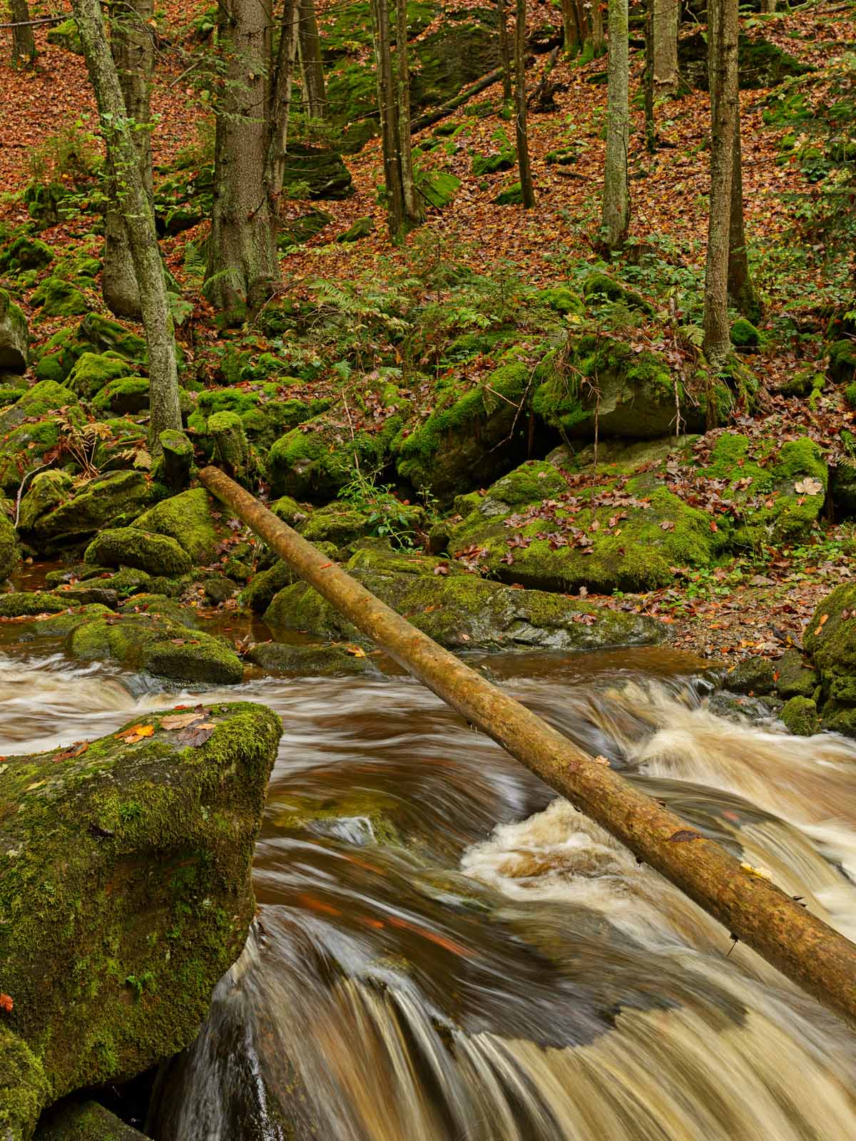 Landschaft im Fokus