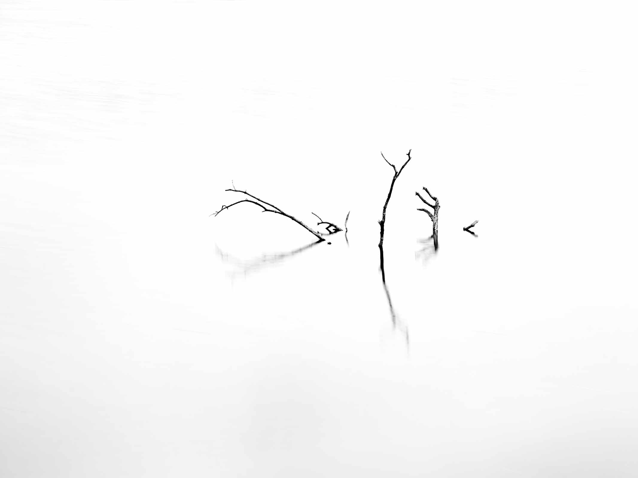 MRobertz_Person_2_links