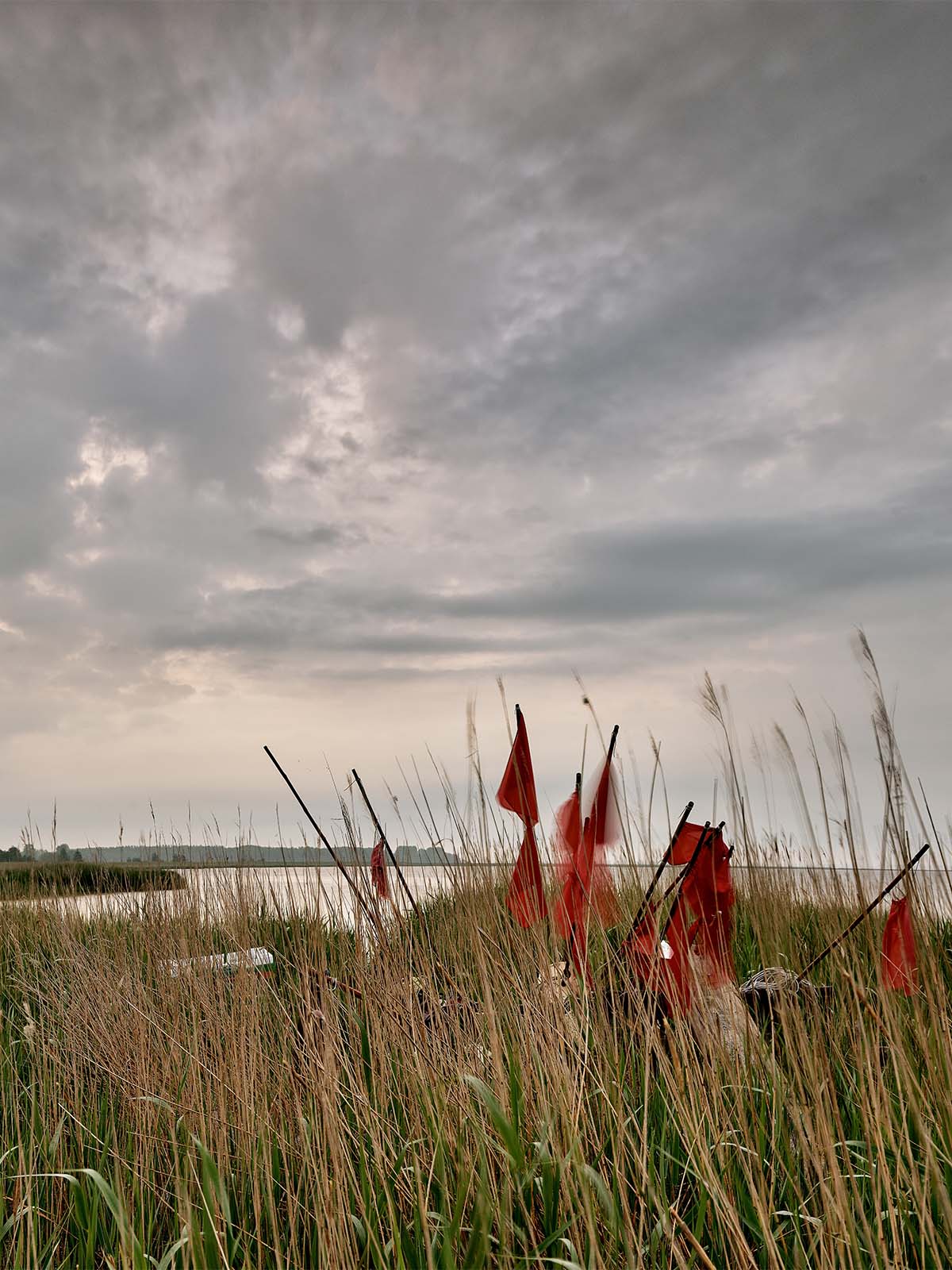 Landschaft im Fokus