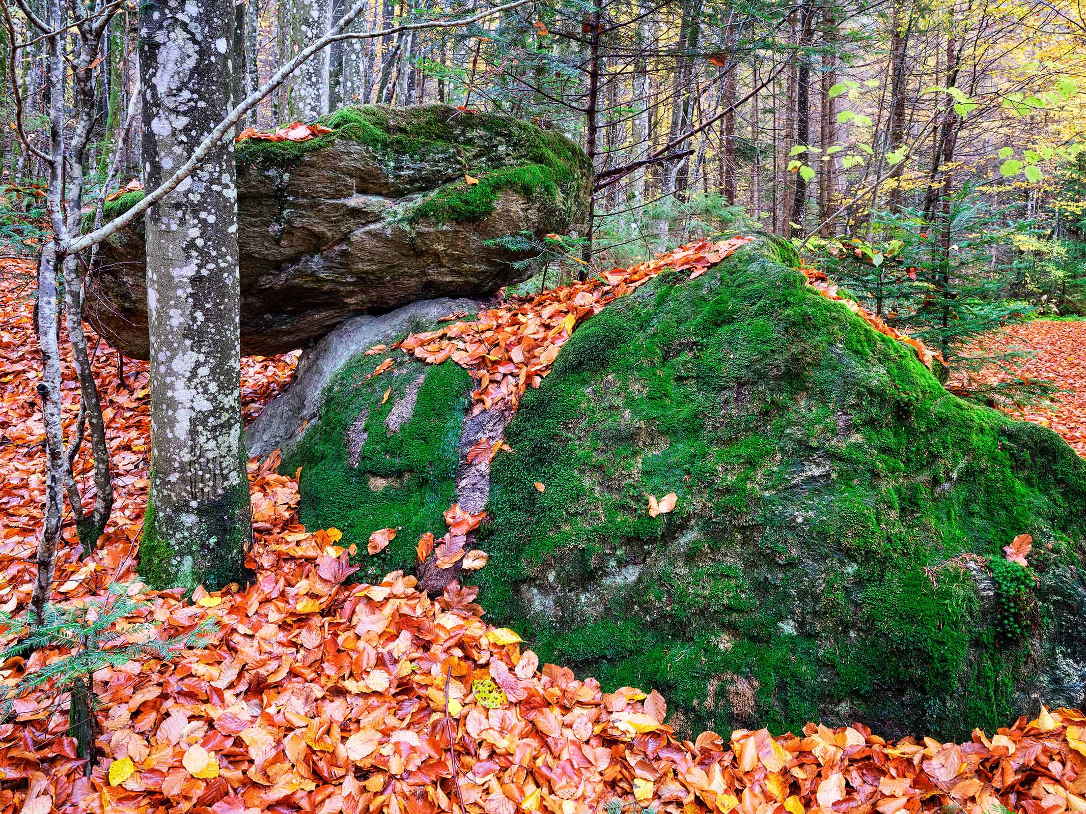 MRobertz_Person_2_rechts