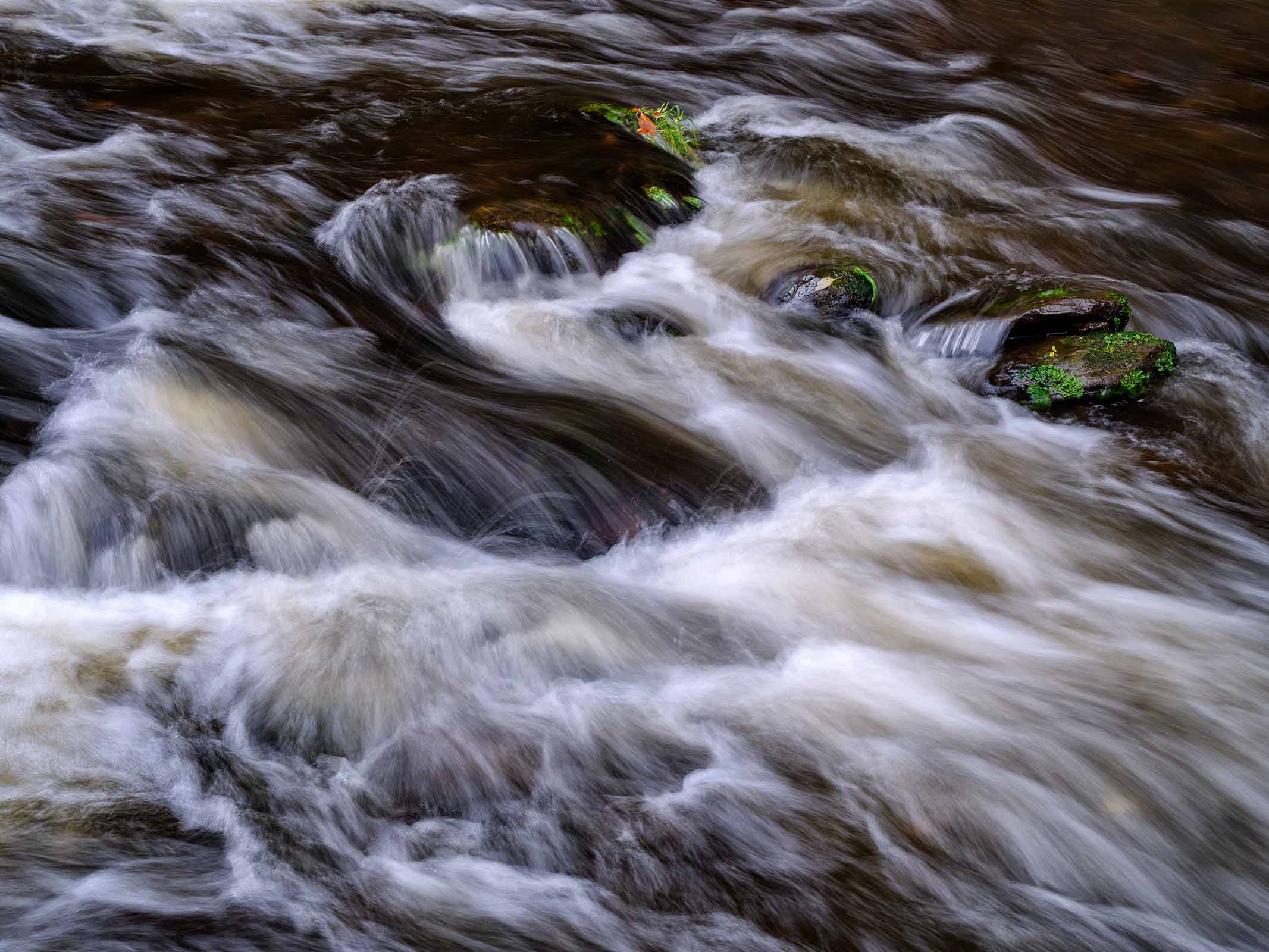 MRobertz_Person_2_links