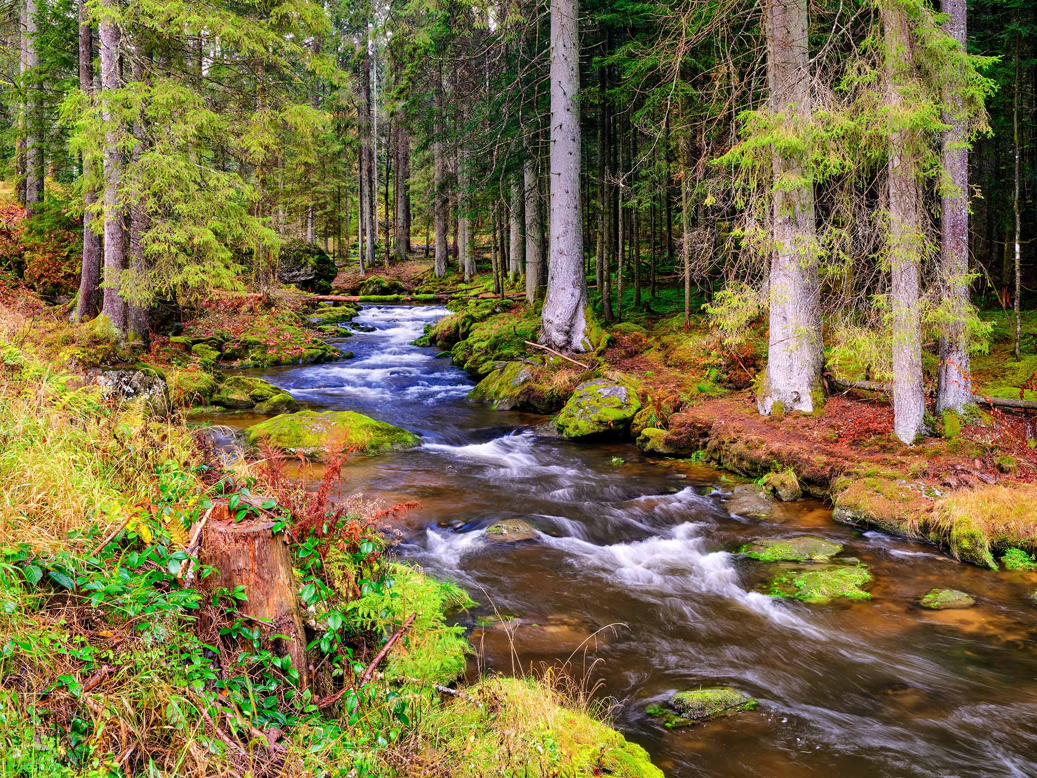 MRobertz_Person_2_rechts