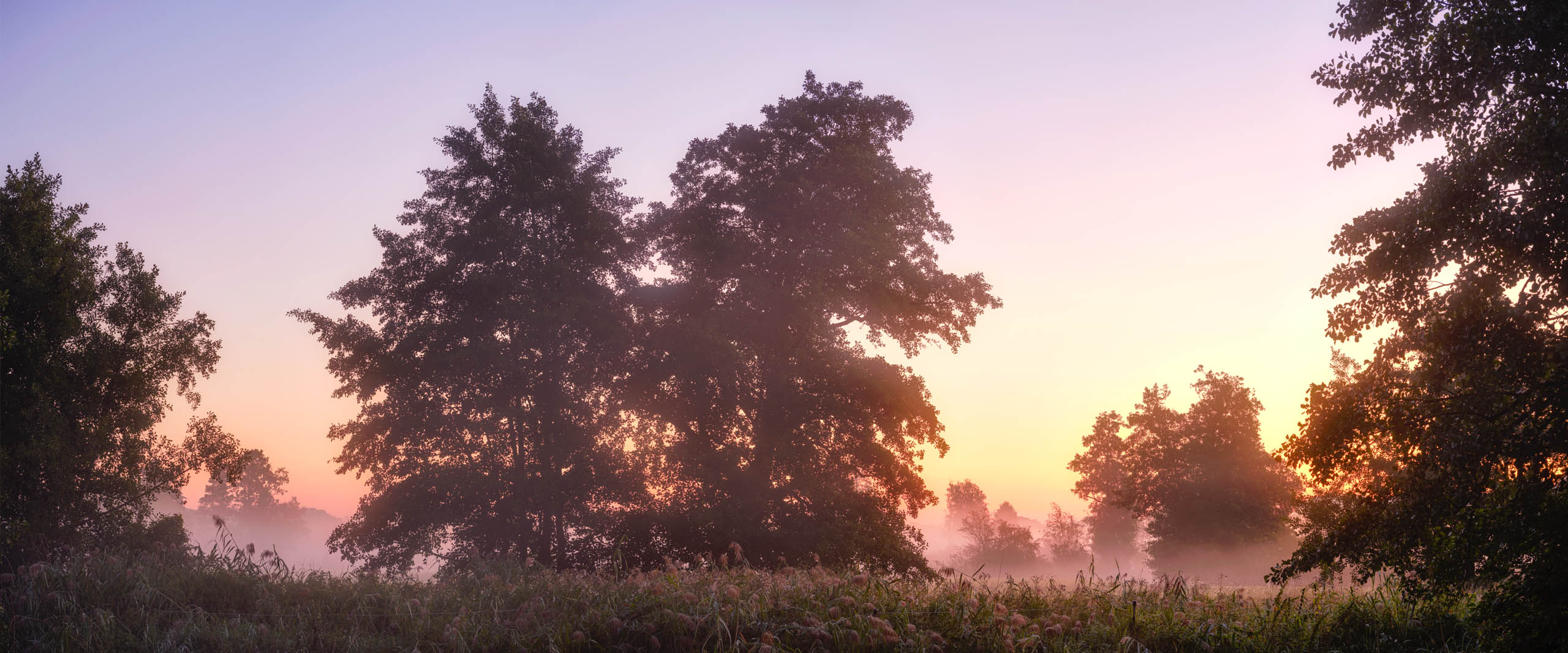Startseite_2025_2_Fruehling